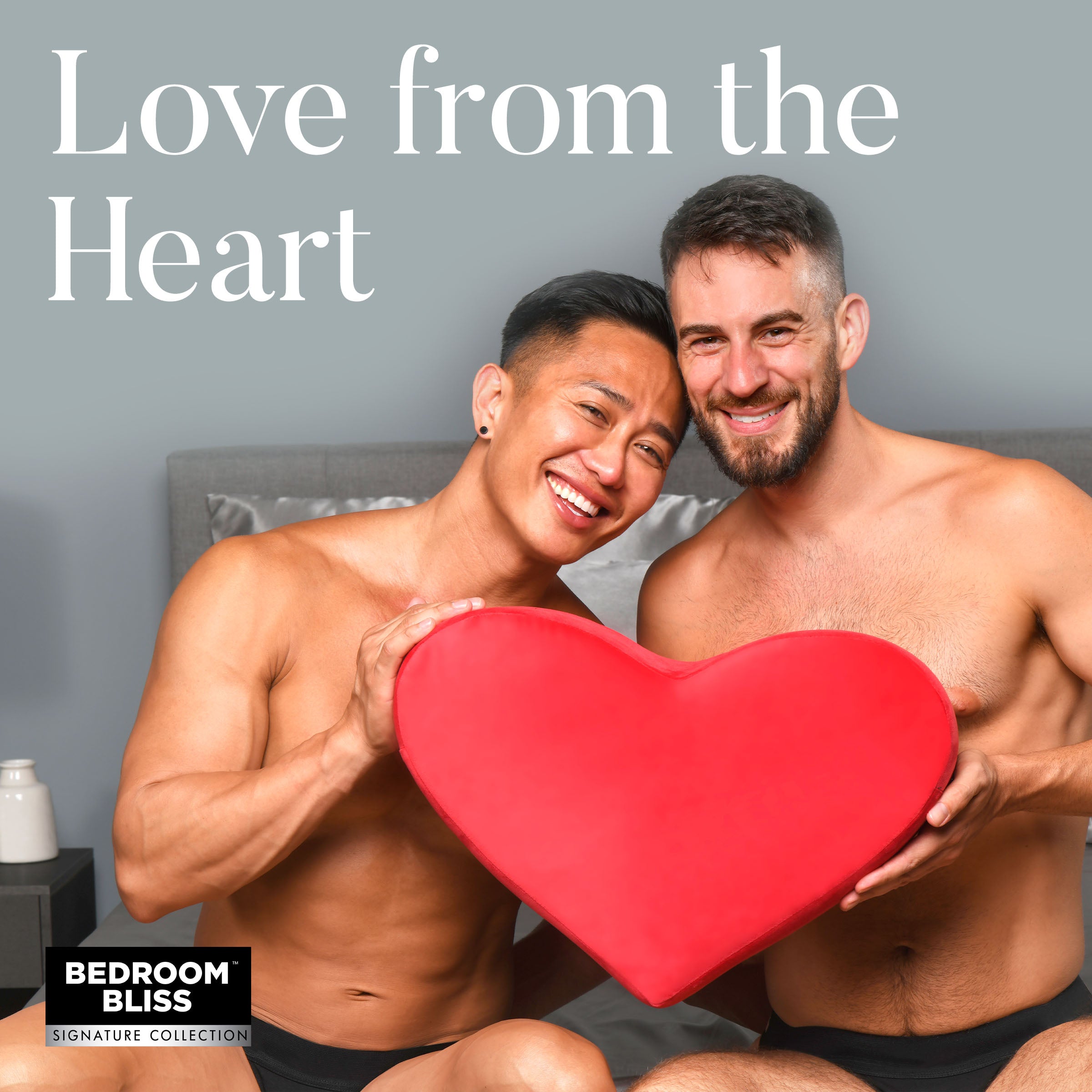The Heart Pillow