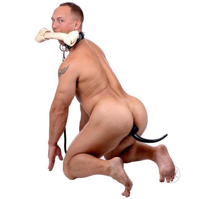The Dog Tail Butt Plug