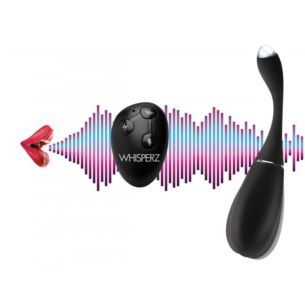 Voice Activated 10X Vibrating Anal Egg with Remote Control