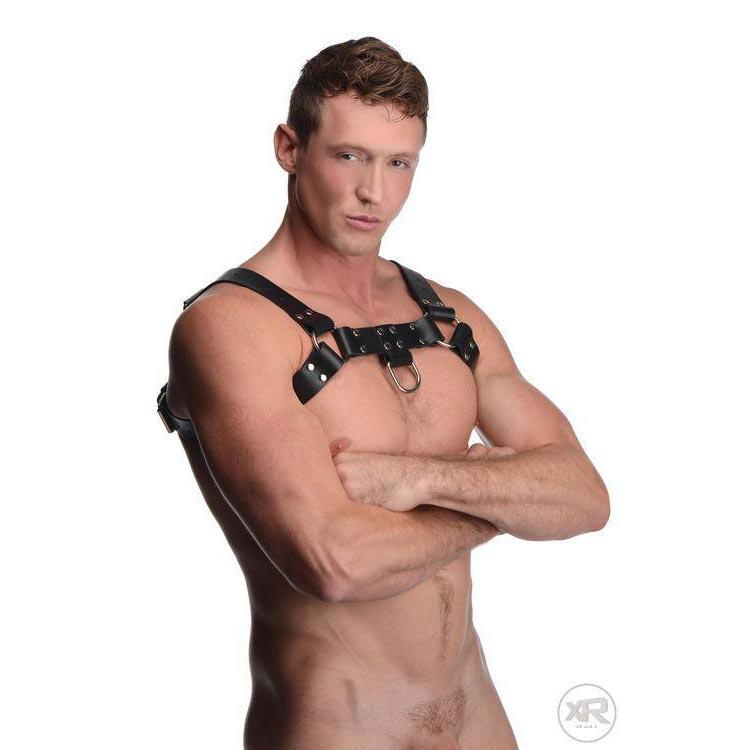 English Bull Dog Harness with Cock Strap