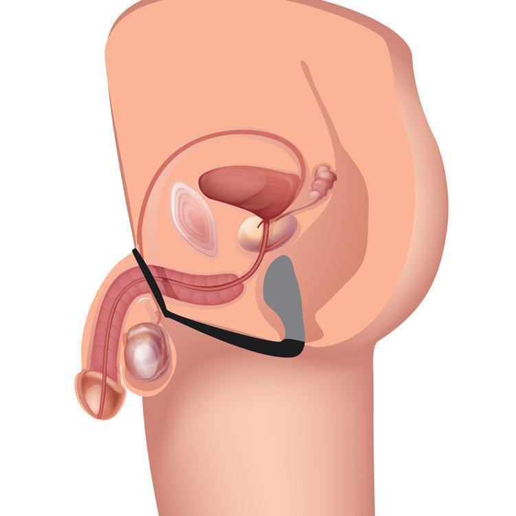 Explorer II Prostate Stimulator and Cock Ring