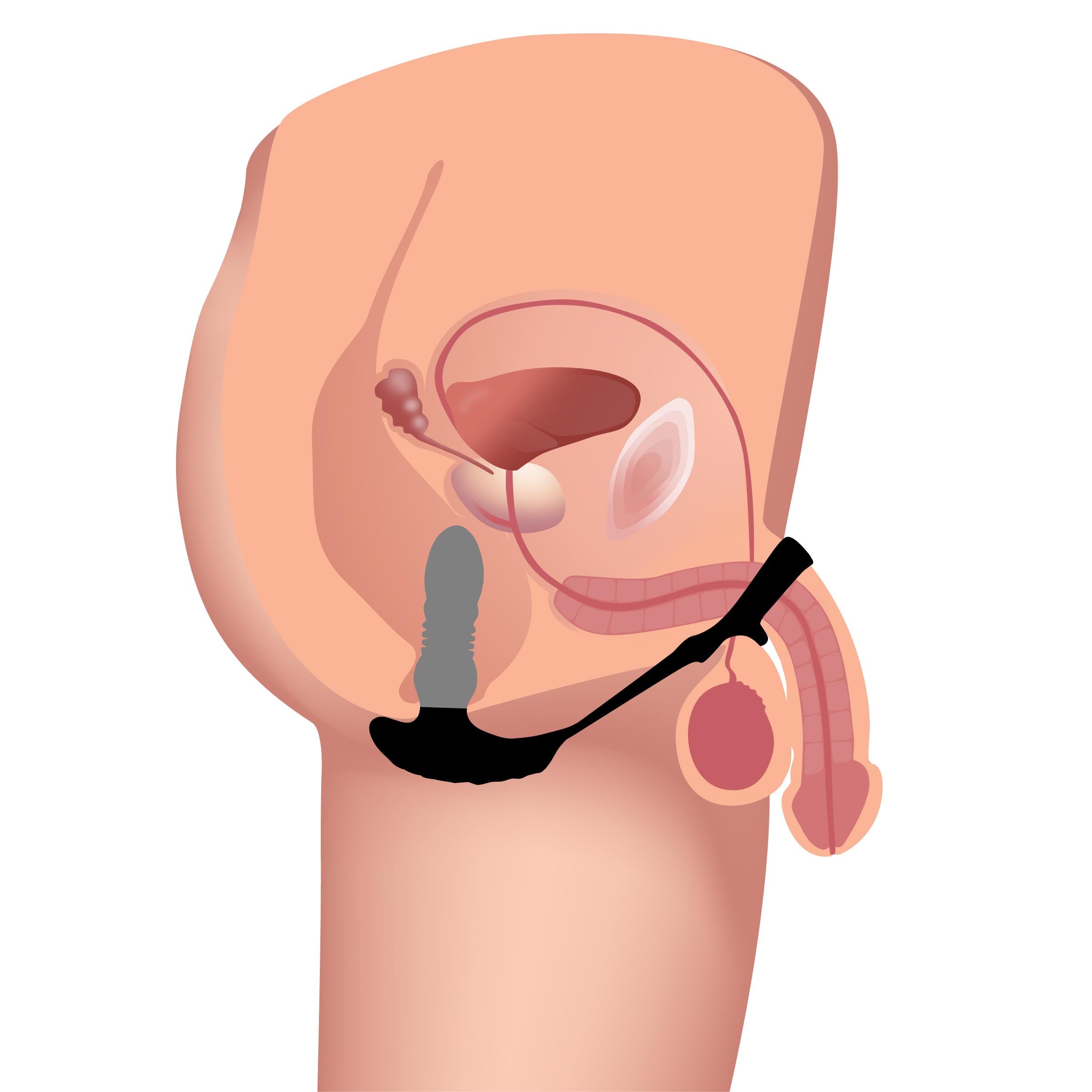 Thrusting Vibrator with Cock and Ball Ring and Remote Thrusting Vibrator with Cock and Ball Ring and Remote